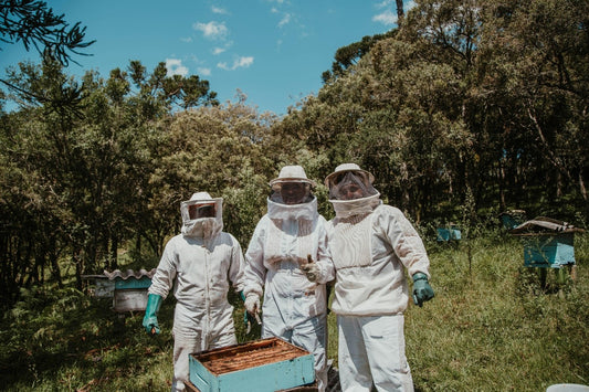 From Hive to Home - Exploring the Art of Beekeeping and Honey Production